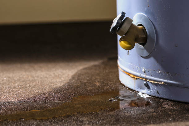 Best Flood damage cleanup  in Chula Vista, TX