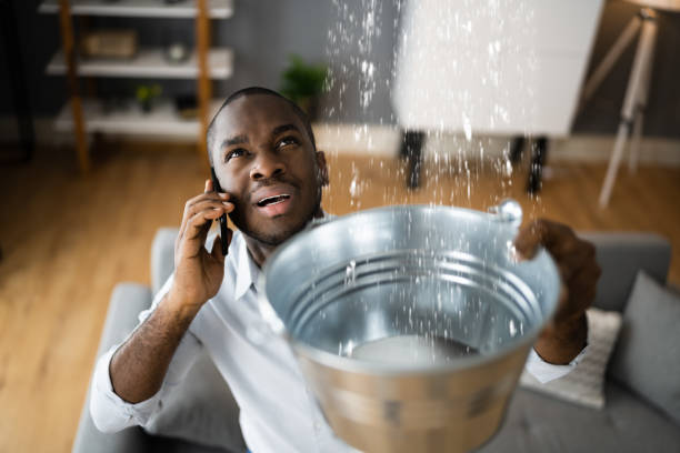  Chula Vista, TX Water damage restoration Pros