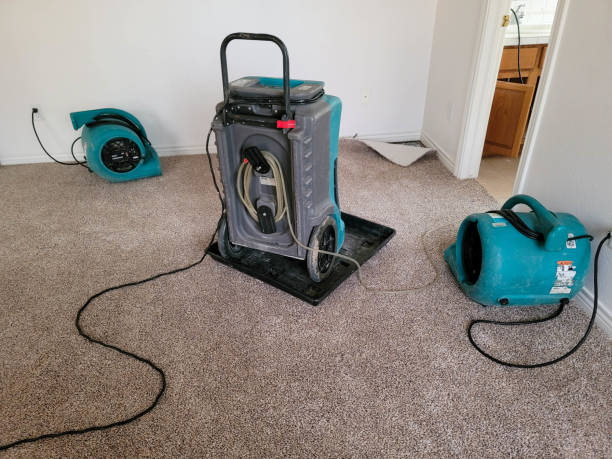 Best Water damage repair service  in Chula Vista, TX