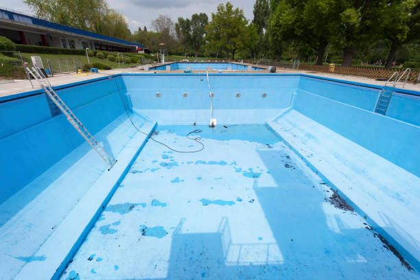 Best Mold removal after water damage  in Chula Vista, TX