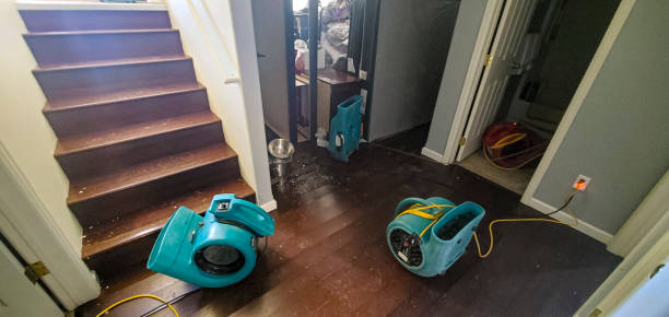 Best Carpet water damage restoration  in Chula Vista, TX