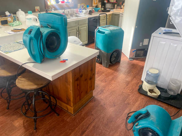 Best Residential water damage restoration  in Chula Vista, TX