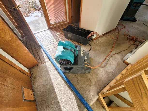 Best Commercial water damage restoration  in Chula Vista, TX