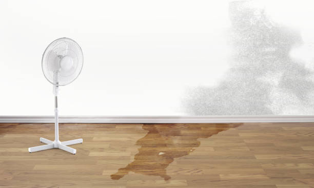 Best 24-hour water damage restoration  in Chula Vista, TX
