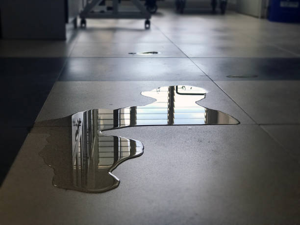 Best Water damage restoration near me  in Chula Vista, TX