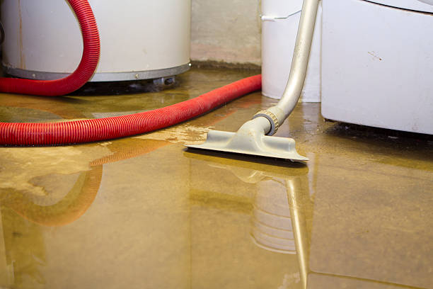 Best Local water damage restoration  in Chula Vista, TX