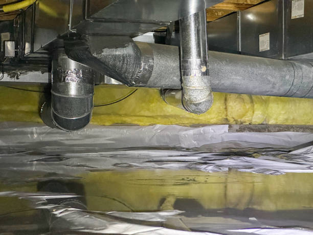 Best Flood restoration services  in Chula Vista, TX