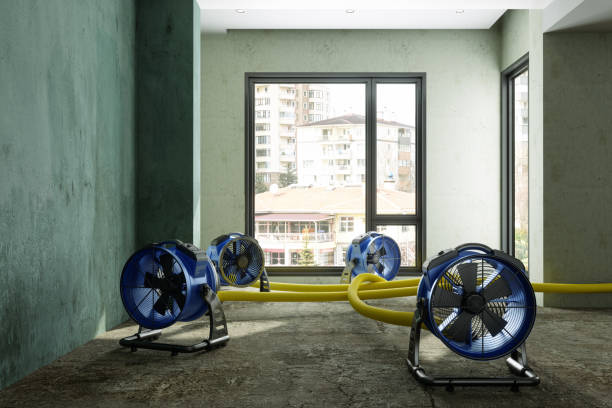 Best Water damage restoration near me  in Chula Vista, TX