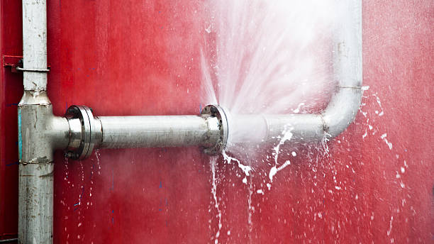 Best 24/7 water damage repair  in Chula Vista, TX