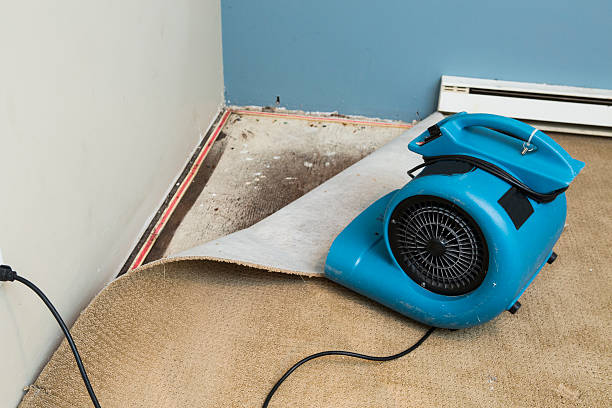  Chula Vista, TX Water damage restoration Pros